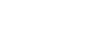 white footer logo